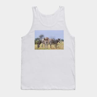 Zebra Foal Tank Top